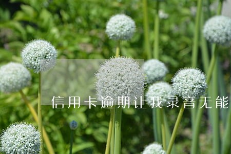 信用卡逾期让我录音无能力偿还 信用卡逾期让我录音无能力偿还