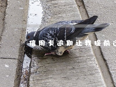 信用卡逾期让我提前还 信用卡逾期让我提前还
