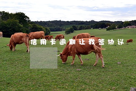 信用卡逾期让我签协议 信用卡逾期让我签协议