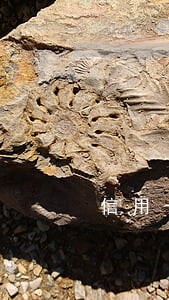 信用卡逾期让我还全款怎么办 信用卡逾期让我还全款怎么办