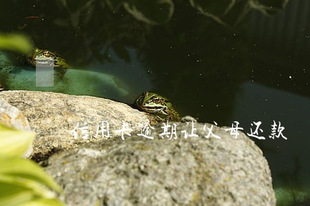 信用卡逾期让父母还款 信用卡逾期让父母还款