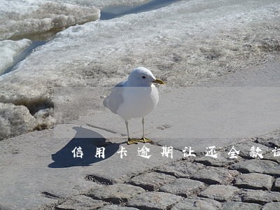 信用卡逾期让还全款证明