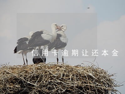 信用卡逾期让还本金