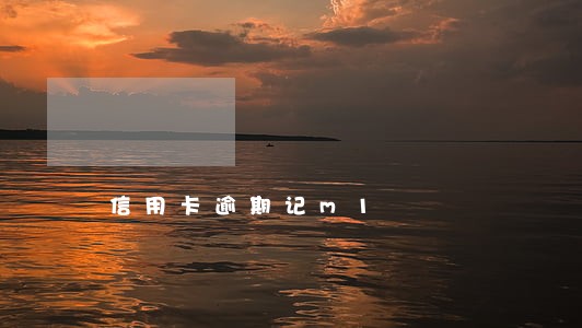 信用卡逾期记m1