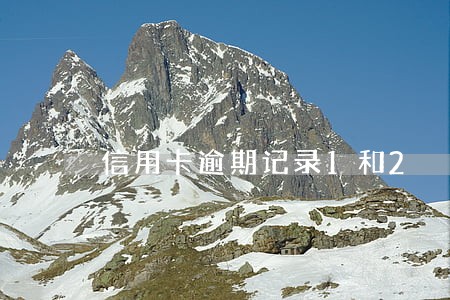 信用卡逾期记录1和2