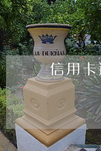 信用卡逾期记录20多次 信用卡逾期记录20多次