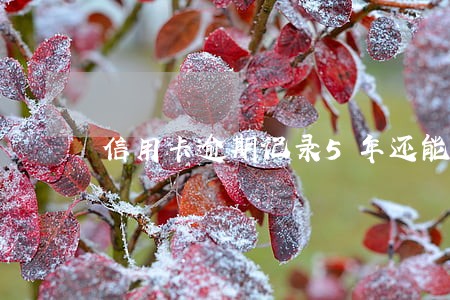信用卡逾期记录5年还能消吗