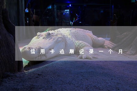 信用卡逾期记录一个月