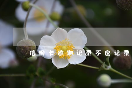 信用卡逾期记录不良记录 信用卡逾期记录不良记录