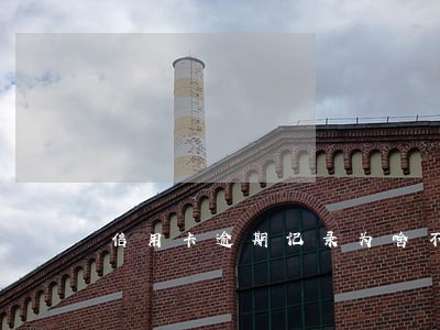信用卡逾期记录为啥不详细 信用卡逾期记录为啥不详细