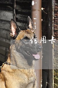 信用卡逾期记录会删除吗 信用卡逾期记录会删除吗