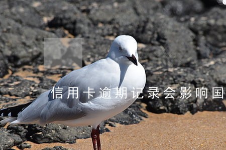 信用卡逾期记录会影响国外签证吗 信用卡逾期记录会影响国外签证吗