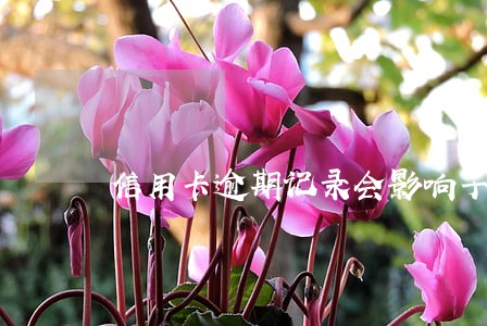 信用卡逾期记录会影响子女 信用卡逾期记录会影响子女
