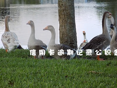 信用卡逾期记录公积金
