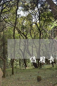 信用卡逾期记录具体哪一天消除