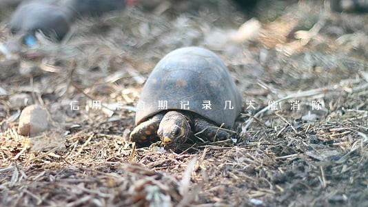 信用卡逾期记录几天能消除 信用卡逾期记录几天能消除