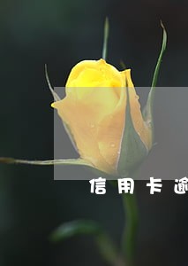 信用卡逾期记录几年会消除