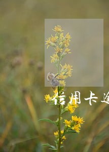 信用卡逾期记录又什么影响吗