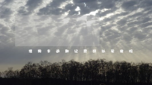 信用卡逾期记录可以买房吗 信用卡逾期记录可以买房吗