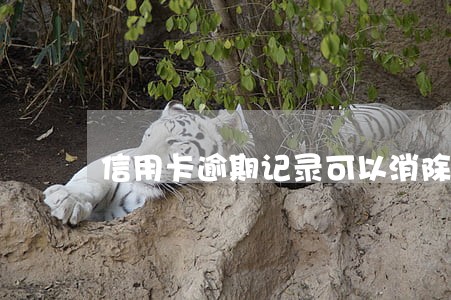 信用卡逾期记录可以消除嘛
