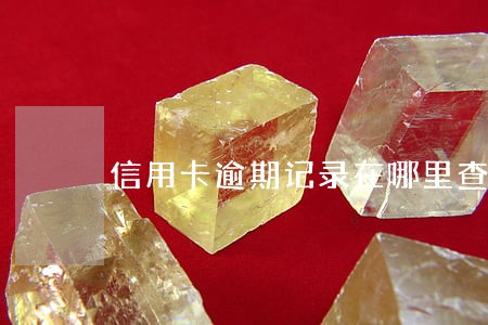 信用卡逾期记录在哪里查 信用卡逾期记录在哪里查