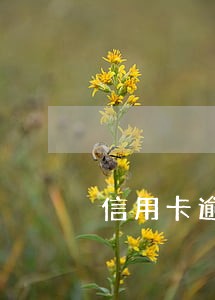 信用卡逾期记录多久刷新一次 信用卡逾期记录多久刷新一次