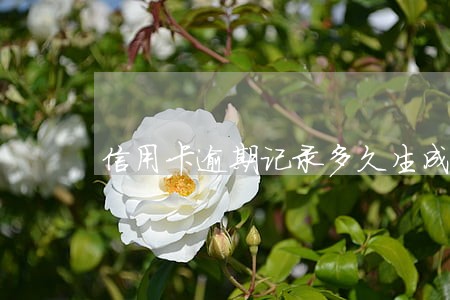 信用卡逾期记录多久生成 信用卡逾期记录多久生成