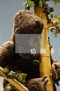 信用卡逾期记录多长时间才消除 信用卡逾期记录多长时间才消除