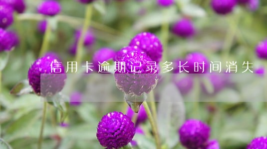 信用卡逾期记录多长时间消失 信用卡逾期记录多长时间消失
