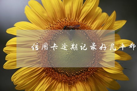 信用卡逾期记录好几年都没消除