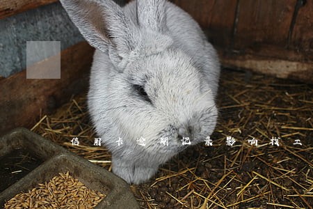 信用卡逾期记录影响找工作吗