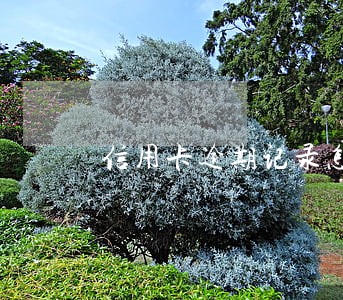 信用卡逾期记录怎么不更新 信用卡逾期记录怎么不更新