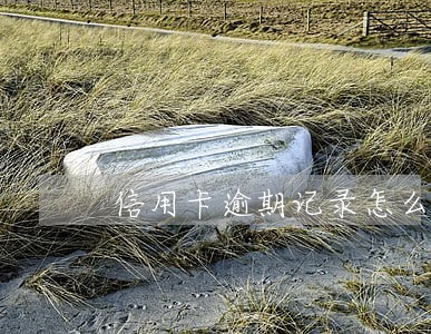 信用卡逾期记录怎么刷