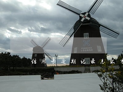 信用卡逾期记录怎么才会删除 信用卡逾期记录怎么才会删除