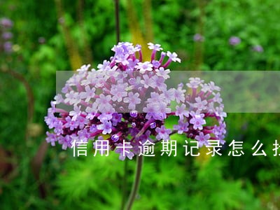 信用卡逾期记录怎么找回 信用卡逾期记录怎么找回