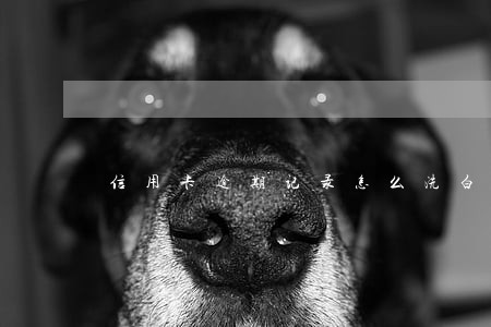 信用卡逾期记录怎么洗白 信用卡逾期记录怎么洗白