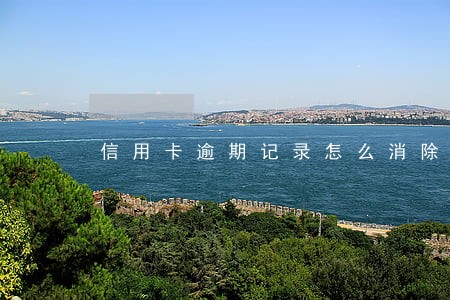 信用卡逾期记录怎么消除吗 信用卡逾期记录怎么消除吗