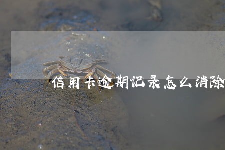 信用卡逾期记录怎么消除要快 信用卡逾期记录怎么消除要快