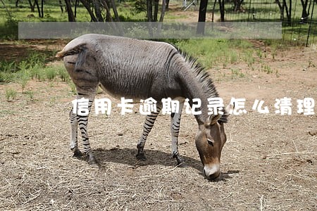 信用卡逾期记录怎么清理 信用卡逾期记录怎么清理