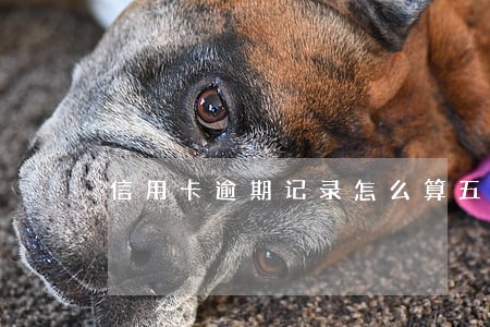 信用卡逾期记录怎么算五年