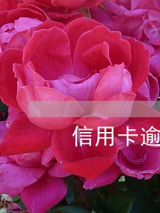 信用卡逾期记录报送 信用卡逾期记录报送