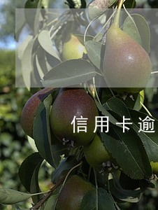 信用卡逾期记录撤销申请 信用卡逾期记录撤销申请