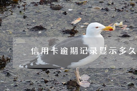 信用卡逾期记录显示多久 信用卡逾期记录显示多久