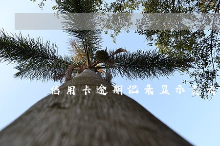 信用卡逾期记录显示负天 信用卡逾期记录显示负天