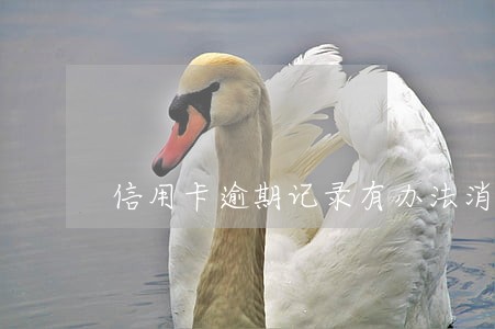 信用卡逾期记录有办法消除吗 信用卡逾期记录有办法消除吗