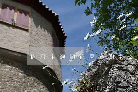 信用卡逾期记录查询怎么查 信用卡逾期记录查询怎么查