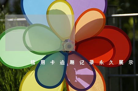 信用卡逾期记录永久展示 信用卡逾期记录永久展示