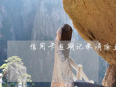 信用卡逾期记录消除业务