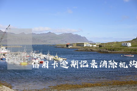 信用卡逾期记录消除机构 信用卡逾期记录消除机构
