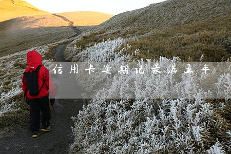 信用卡逾期记录满五年
